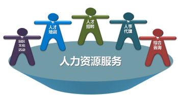 人力资源测评 精准识才，解锁企业人才密码的关键之钥
